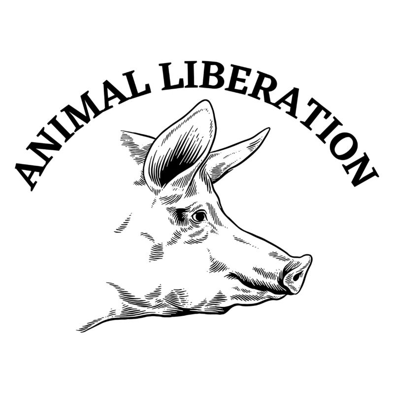 Cochon de libération animale