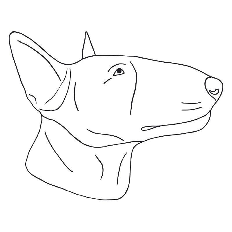 Bullterrier