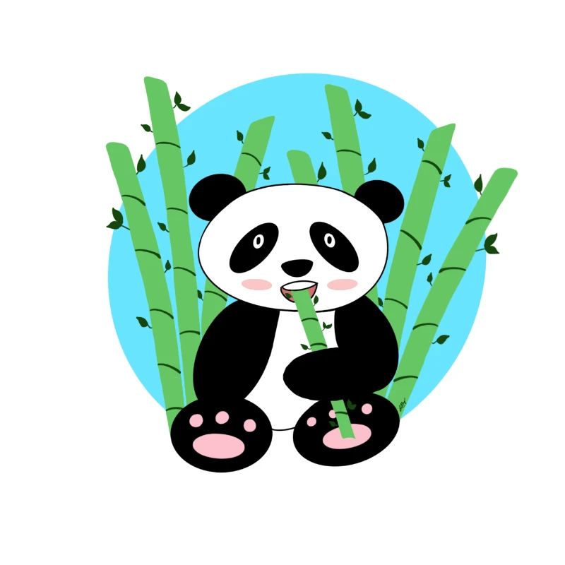 Panda und Bambus