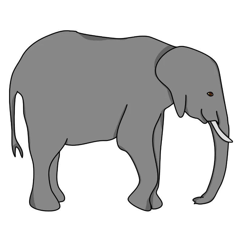 Elephant Elephant Mom Dad