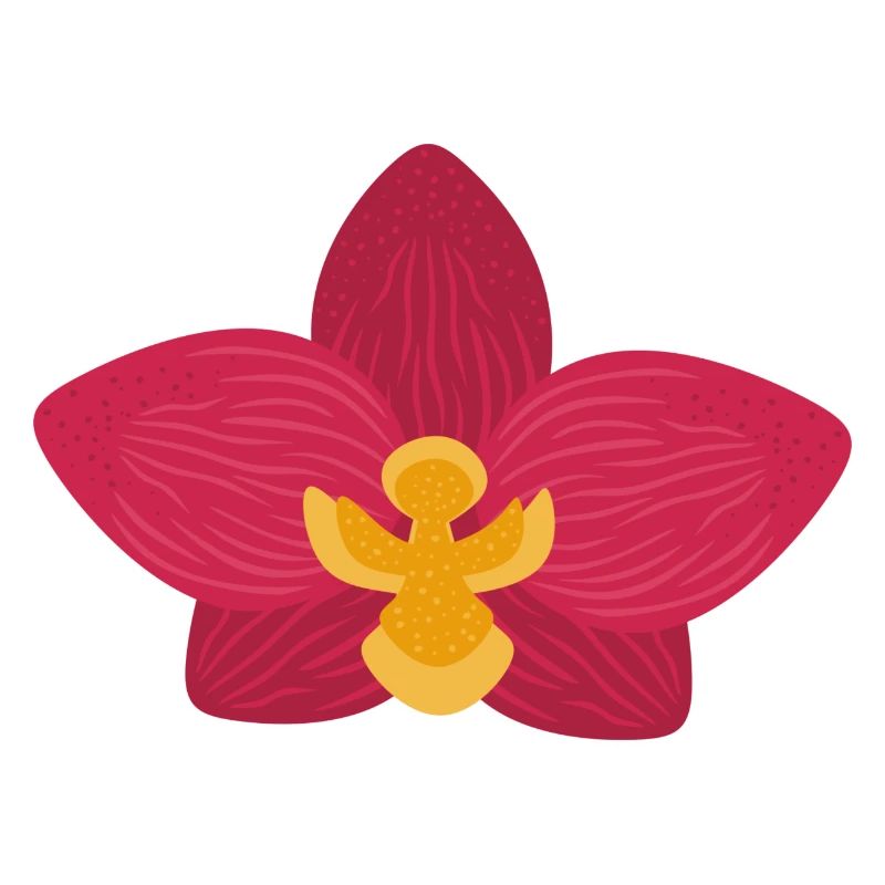 Fleur d’orchidée