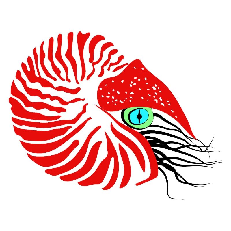 Bateau perlier, ammonite, céphalopode, nautile