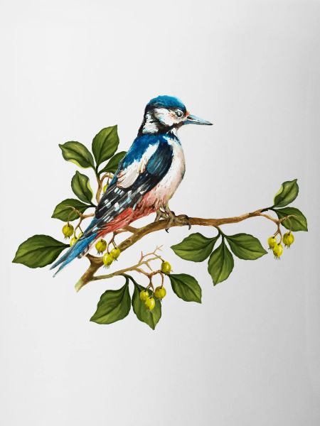 Bunter Vogel