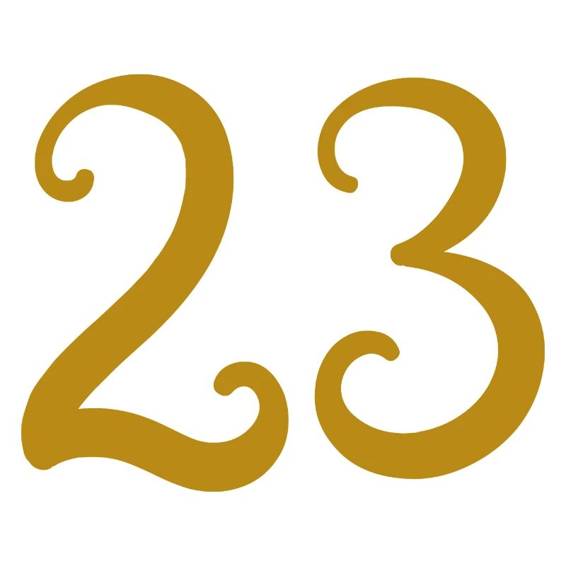 23
