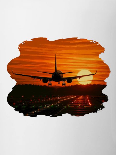 Airplane landing at sunset
