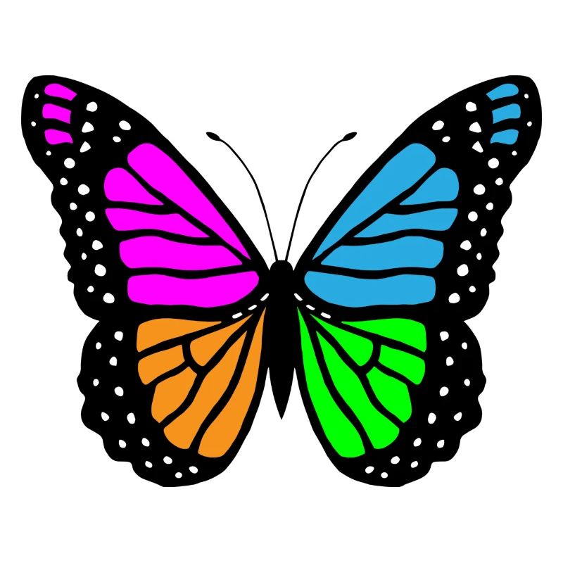 Papillon papillon