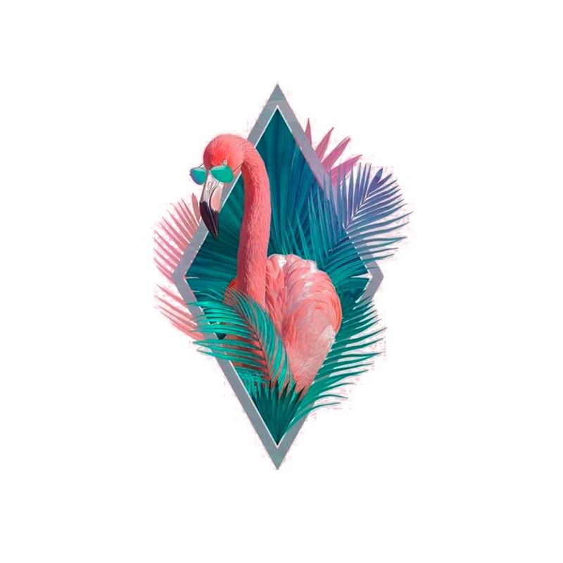 flamant rose