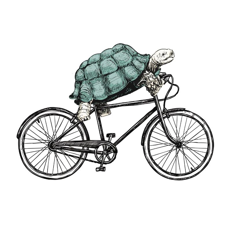 Bicycle Turtle Two-wheeler Cycling Gift
