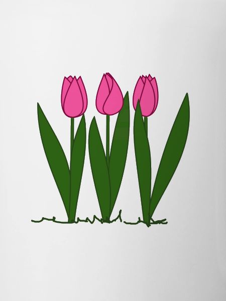 Pink tulips, spring, spring