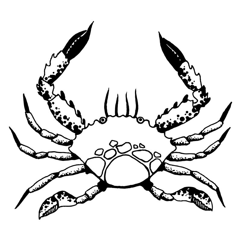 Krabbe