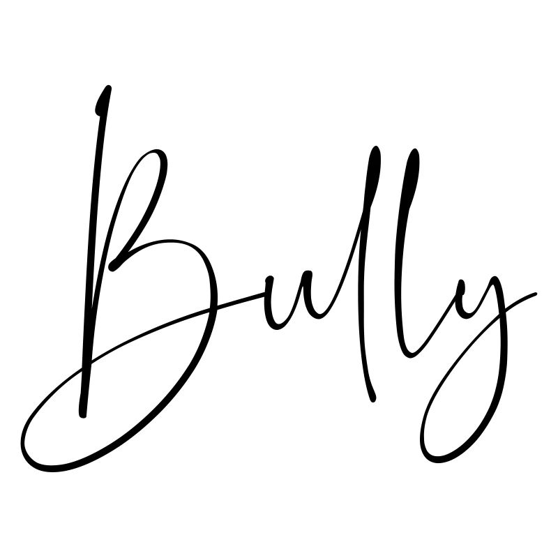 Bully Schriftzug schwarz