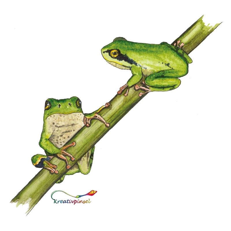 Grenouilles feuillus