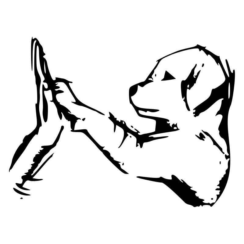 chien donne 5 - haut cinq