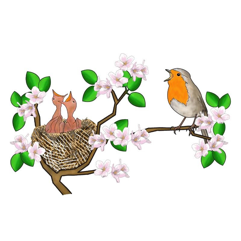 Robins, nest, cherry blossoms