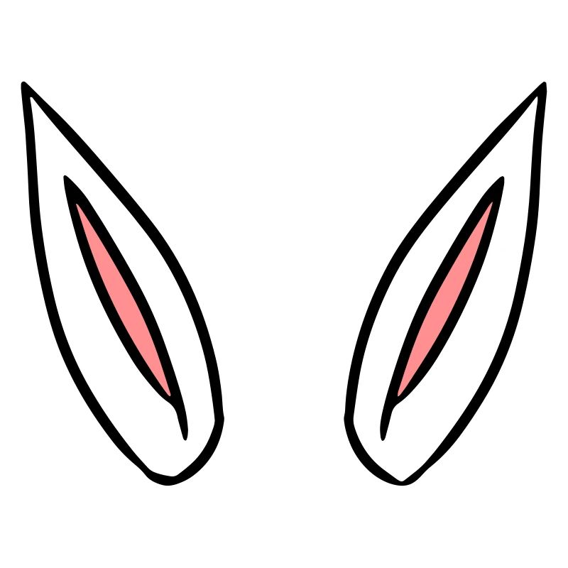 ears gift idea rabbit ears