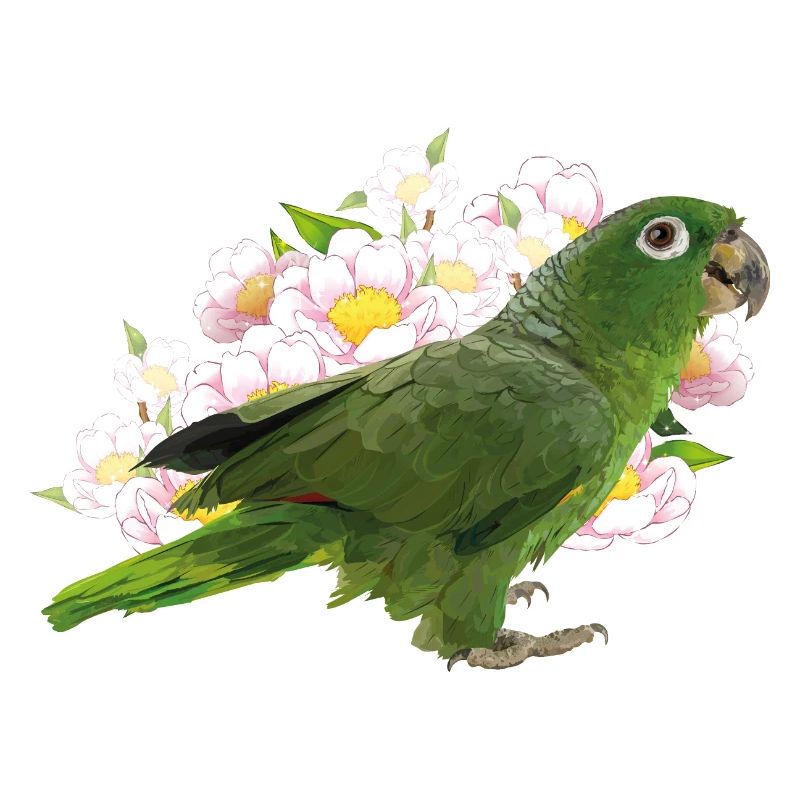Blue crown parrot