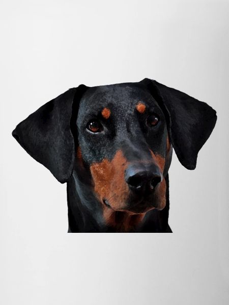 Doberman