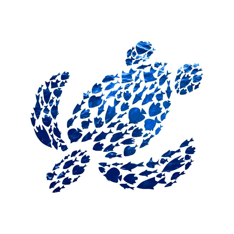 Water Turtle Sea Ocean Animals Turtle