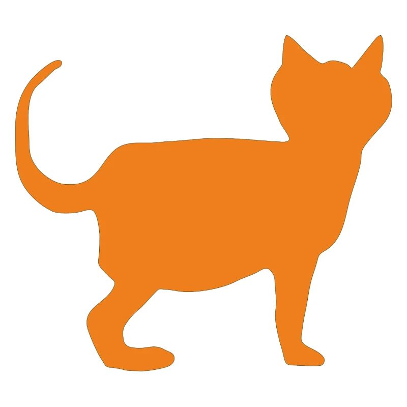 Chat Orange