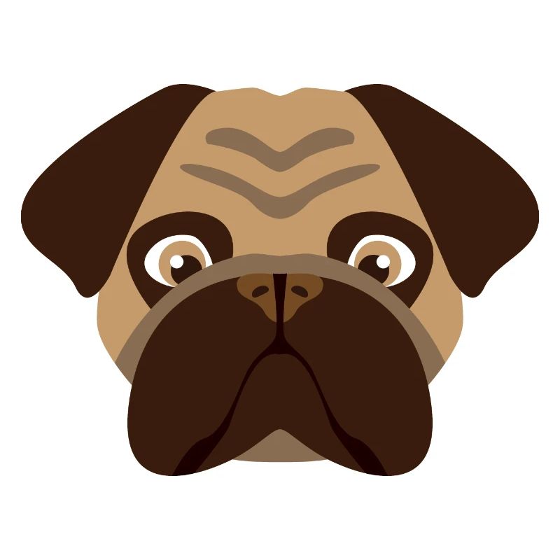 Hund Mops