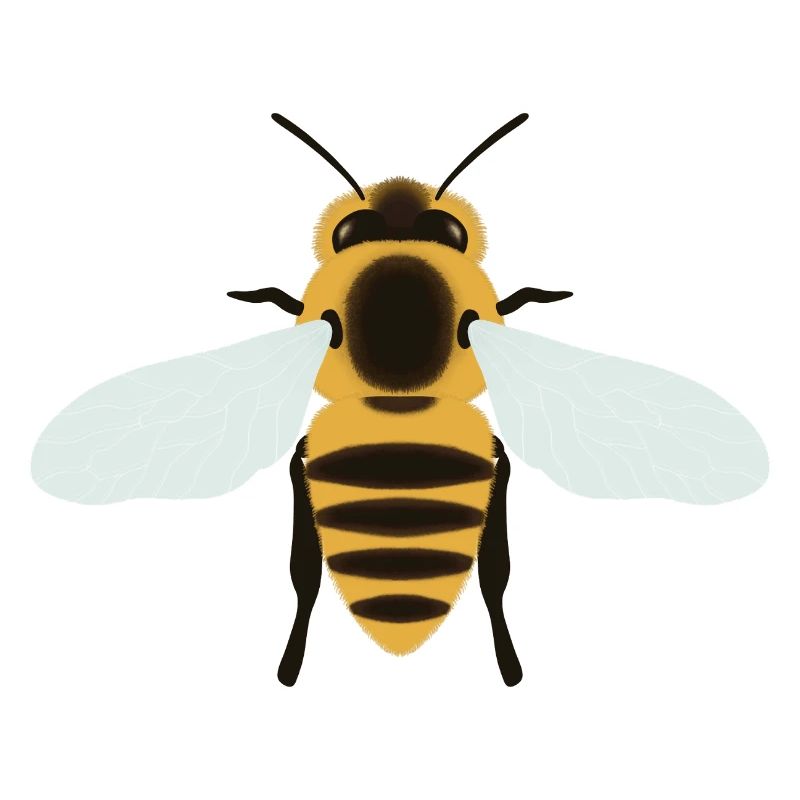 Abeille