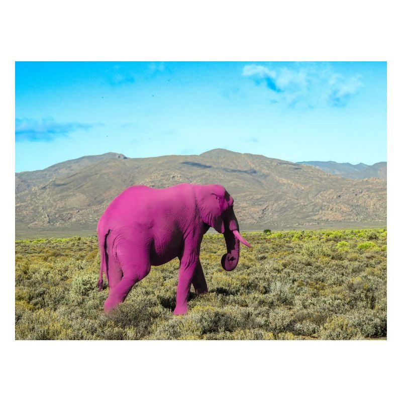 Rosa Elefant in der verlassenen Savanne