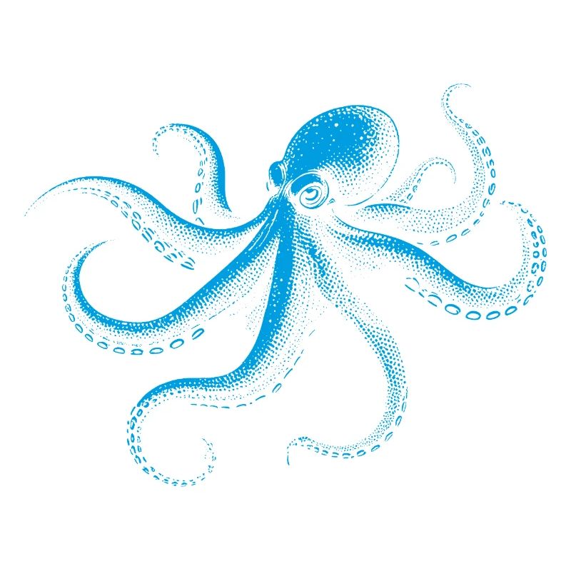 Octopus in Monochrome