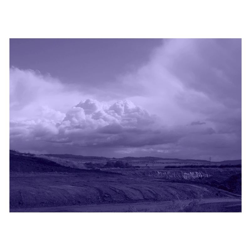 Paysage de brouillard de lavande
