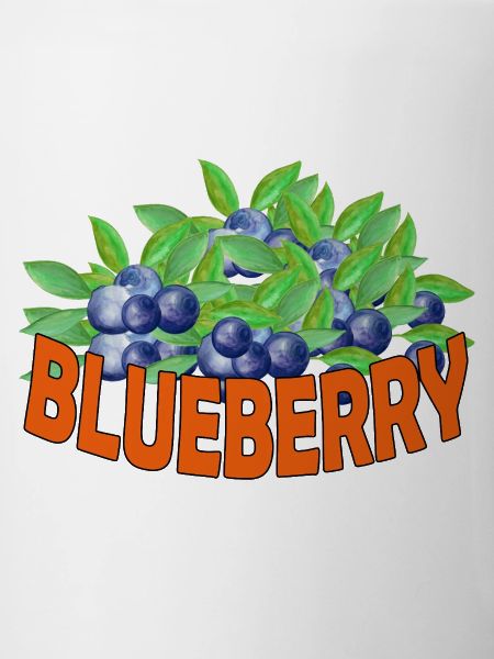 BLUEBERRY