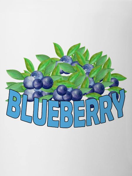 Blueberry