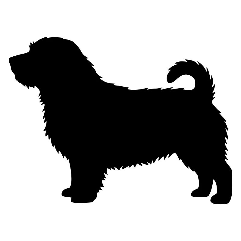 Silhouette du Norfolk Terrier