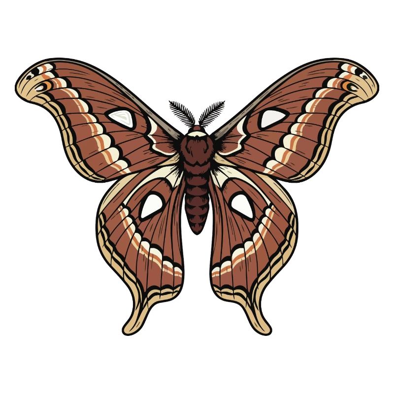 Butterfly Polyphemus Moth Saturnie Wing Tattoo