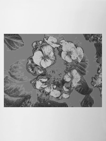 Détail fleur monochrome
