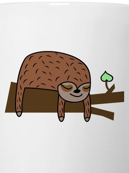 Cute sloth