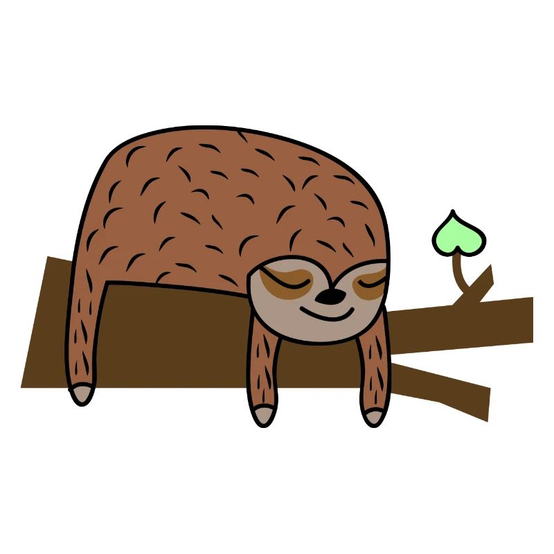 Cute sloth