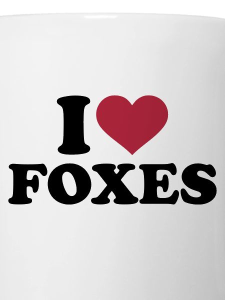 I love foxes