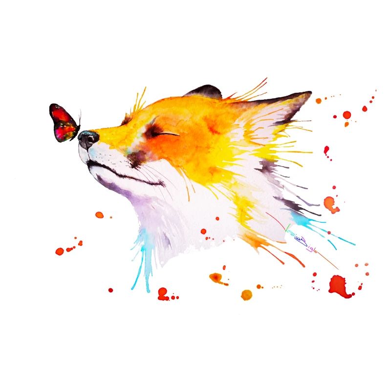 Renard roux