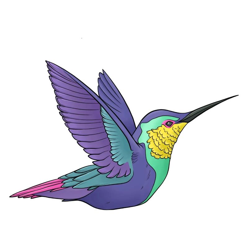 Kolibri