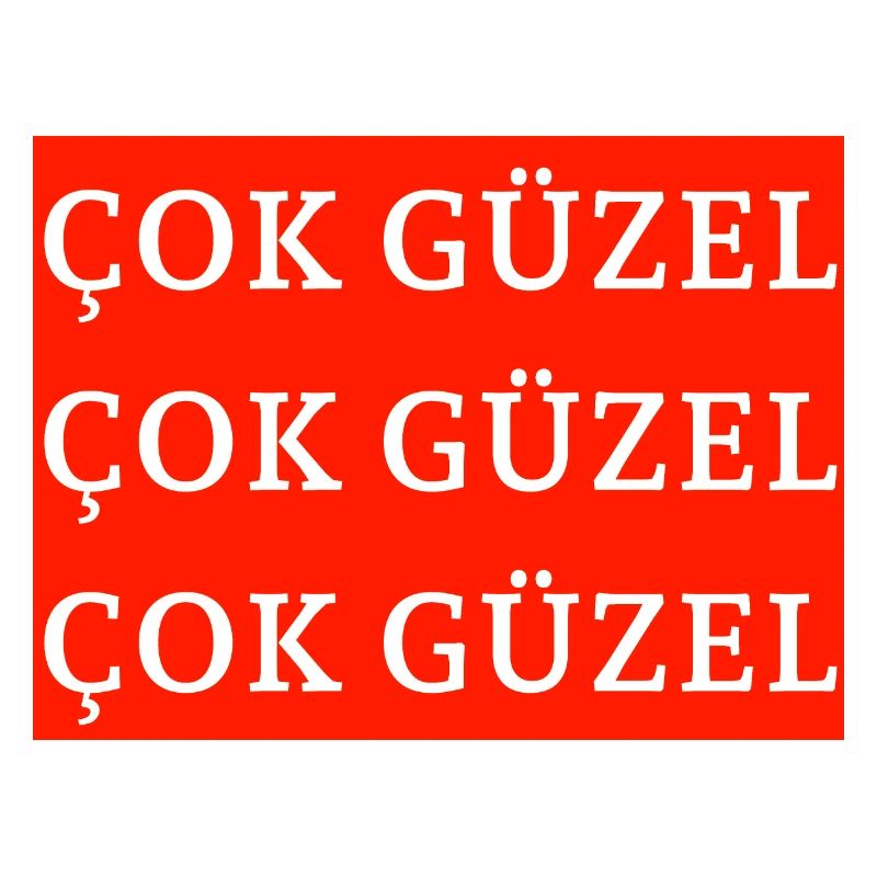 çok güzel turc