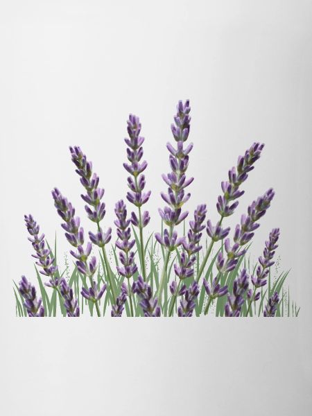 Lavender stalks Lavender