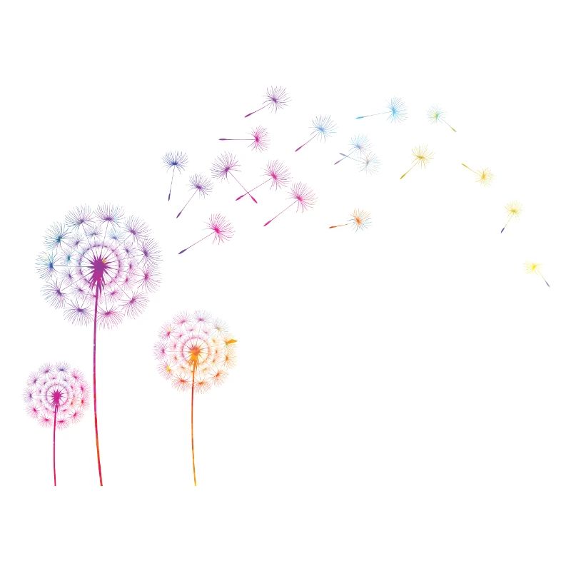 Pusteblume Farb Splash