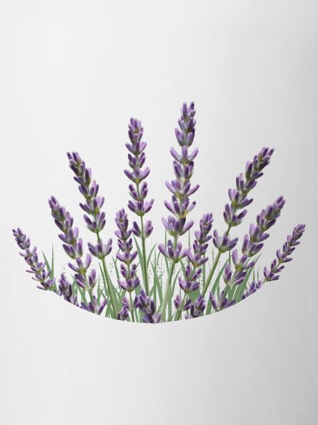 Lavender Straws Lavender