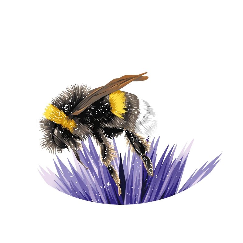 bumblebee