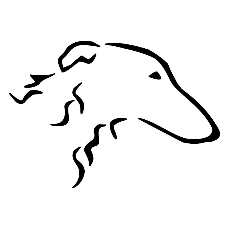 Barsoi