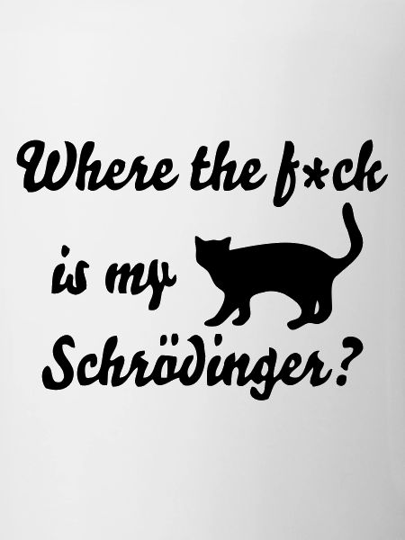Chat de Schrödinger