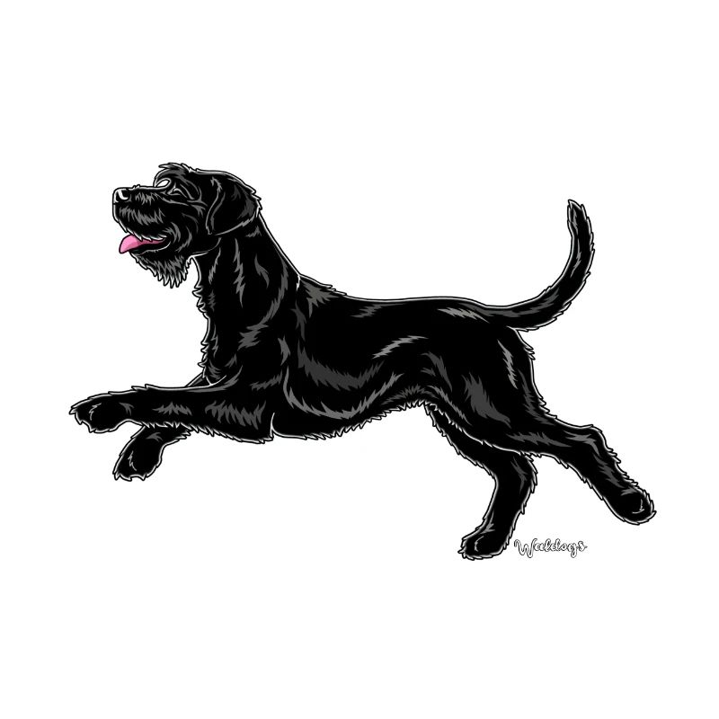 Schnauzer Géant Riesenschnauzer
