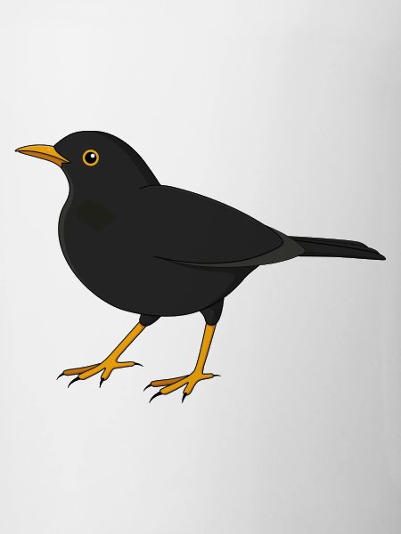 Amsel