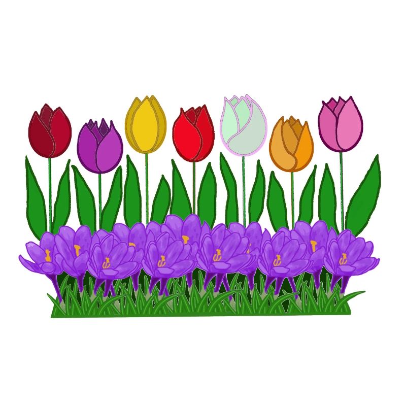 Fleurs de printemps, tulipes, crocus