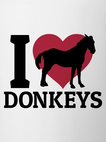 I love donkeys