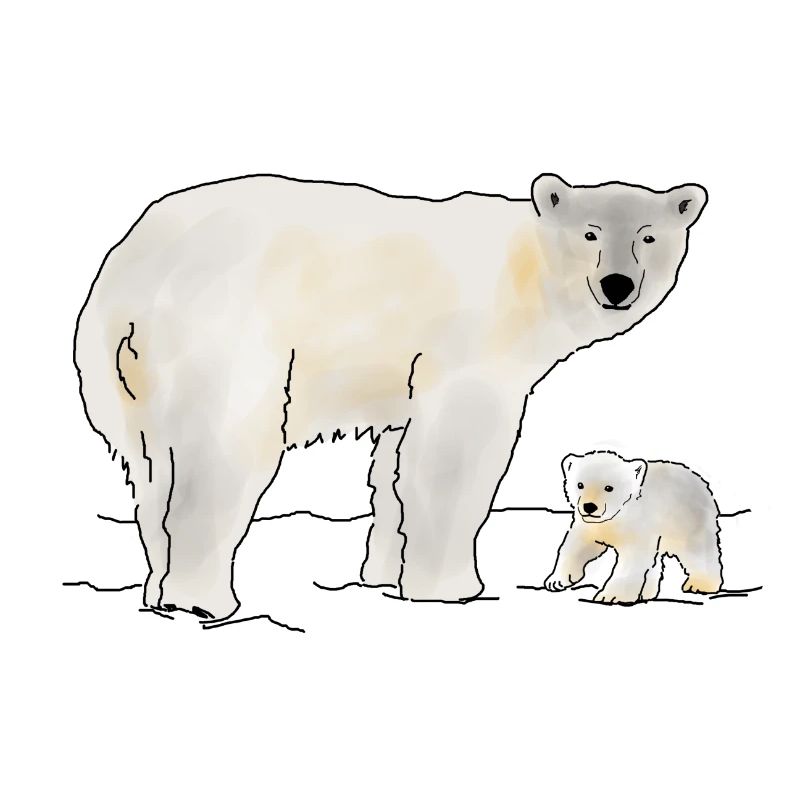 Polar bear with cub